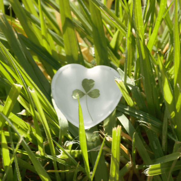 Hand foraged shamrock encased in resin on grass