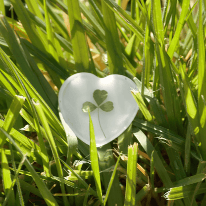 Hand foraged shamrock encased in resin on grass