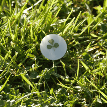 hand foraged shamrock encased in resin on grass