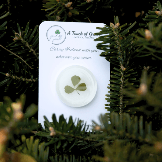 hand foraged shamrock encased in resin on a card with greenery in the background